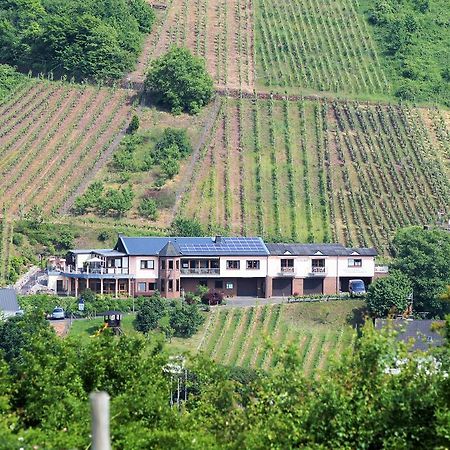 Urlaubsweingut Zecherhof Neef المظهر الخارجي الصورة