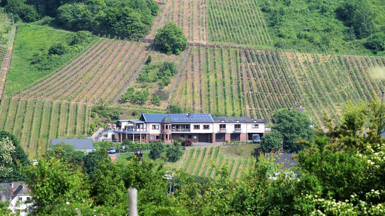 Urlaubsweingut Zecherhof Neef المظهر الخارجي الصورة