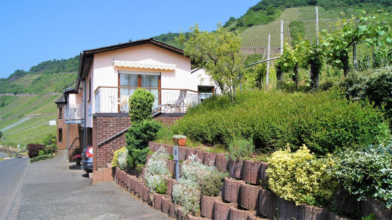 Urlaubsweingut Zecherhof Neef المظهر الخارجي الصورة