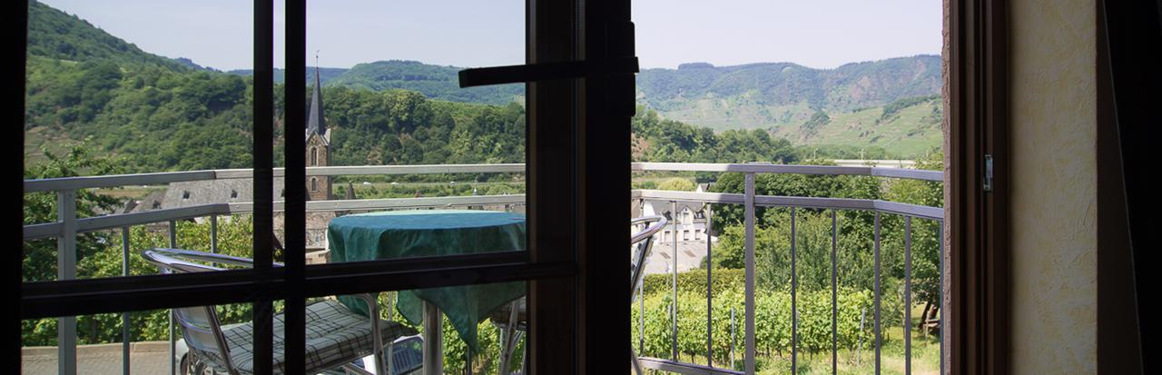 Urlaubsweingut Zecherhof Neef المظهر الخارجي الصورة